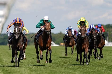 coronation stakes tips|Coronation Stakes 2024 Field, Tips, Odds, Betting, Results.